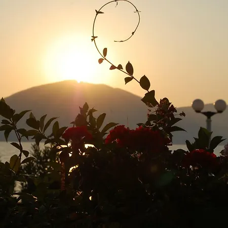 ホテル Ramosaco, Radhime, Vlore